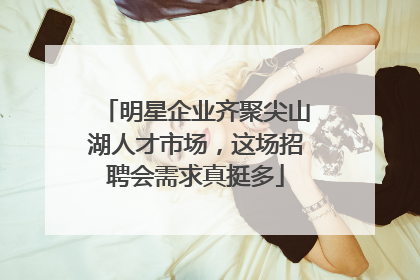 明星企业齐聚尖山湖人才市场，这场招聘会需求真挺多