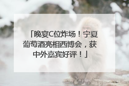 晚宴C位炸场！宁夏葡萄酒亮相西博会，获中外嘉宾好评！