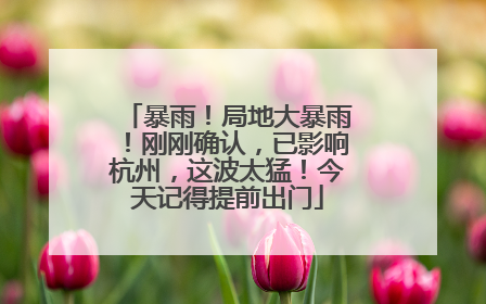 暴雨！局地大暴雨！刚刚确认，已影响杭州，这波太猛！今天记得提前出门