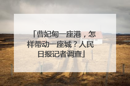 曹妃甸一座港，怎样带动一座城？人民日报记者调查