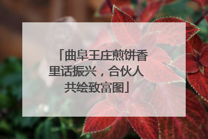 曲阜王庄煎饼香里话振兴，合伙人共绘致富图