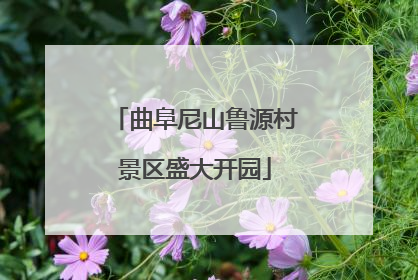曲阜尼山鲁源村景区盛大开园