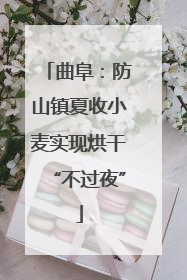 曲阜：防山镇夏收小麦实现烘干“不过夜”