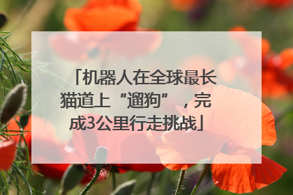 机器人在全球最长猫道上“遛狗”，完成3公里行走挑战
