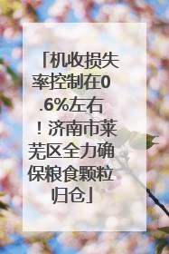 机收损失率控制在0.6%左右！济南市莱芜区全力确保粮食颗粒归仓