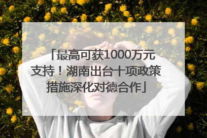 最高可获1000万元支持！湖南出台十项政策措施深化对德合作