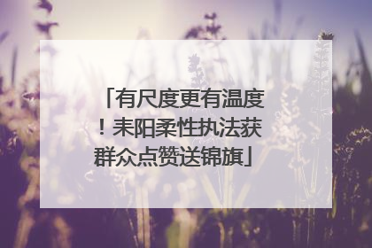 有尺度更有温度！耒阳柔性执法获群众点赞送锦旗