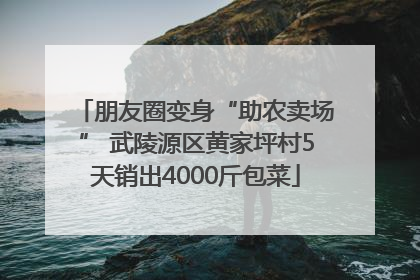 朋友圈变身“助农卖场” 武陵源区黄家坪村5天销出4000斤包菜