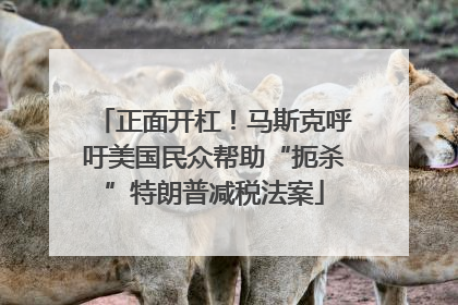 正面开杠！马斯克呼吁美国民众帮助“扼杀”特朗普减税法案