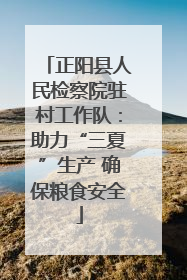 正阳县人民检察院驻村工作队：助力“三夏”生产 确保粮食安全