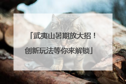 武夷山暑期放大招！创新玩法等你来解锁