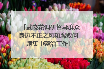 武晓花调研督导群众身边不正之风和腐败问题集中整治工作