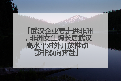 武汉企业要走进非洲，非洲女生想长居武汉 高水平对外开放推动鄂非双向奔赴