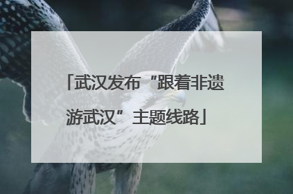 武汉发布“跟着非遗游武汉”主题线路