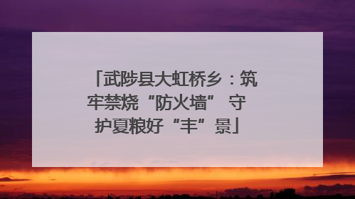 武陟县大虹桥乡：筑牢禁烧“防火墙” 守护夏粮好“丰”景