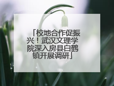 校地合作促振兴！武汉文理学院深入房县白鹤镇开展调研