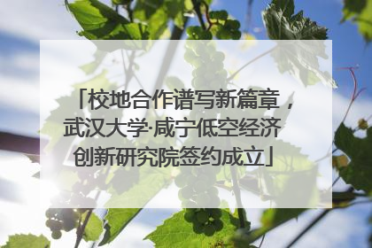 校地合作谱写新篇章，武汉大学·咸宁低空经济创新研究院签约成立