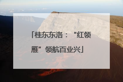 桂东东洛：“红领雁”领航百业兴
