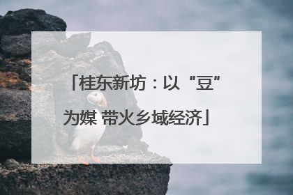 桂东新坊：以“豆”为媒 带火乡域经济