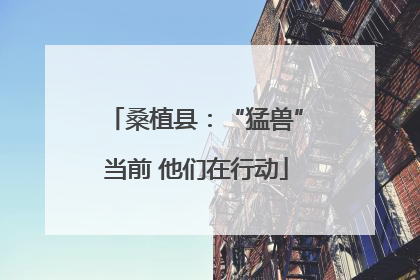 桑植县：“猛兽”当前 他们在行动