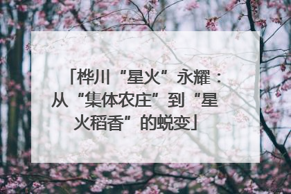 桦川“星火”永耀：从“集体农庄”到“星火稻香”的蜕变
