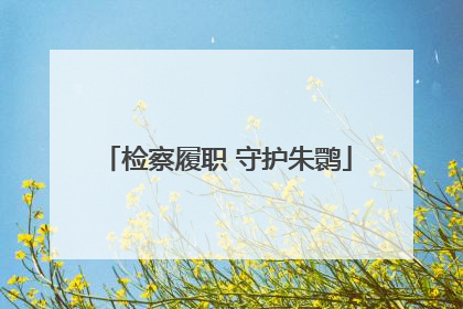 检察履职 守护朱鹮
