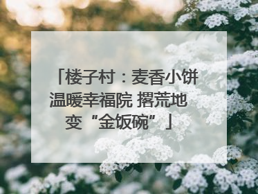 楼子村：麦香小饼温暖幸福院 撂荒地变“金饭碗”