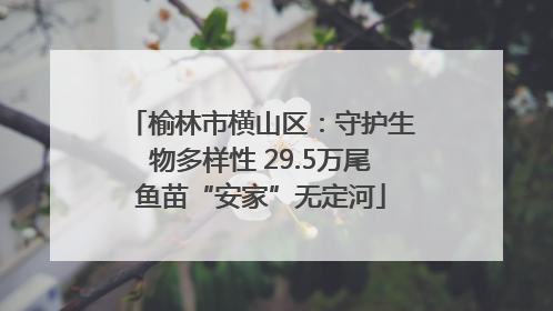 榆林市横山区：守护生物多样性 29.5万尾鱼苗“安家”无定河
