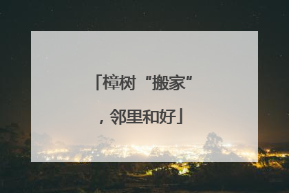 樟树“搬家”，邻里和好