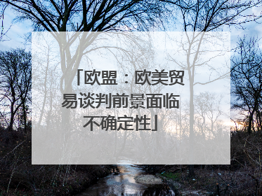 欧盟：欧美贸易谈判前景面临不确定性