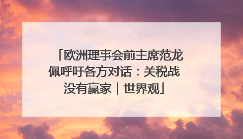 欧洲理事会前主席范龙佩呼吁各方对话：关税战没有赢家｜世界观