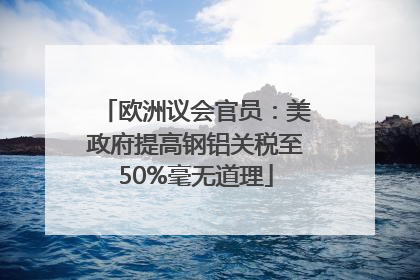 欧洲议会官员：美政府提高钢铝关税至50%毫无道理