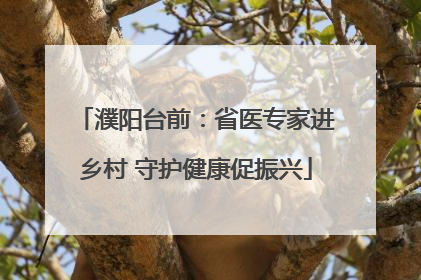 濮阳台前：省医专家进乡村 守护健康促振兴