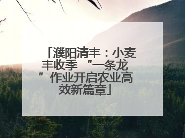 濮阳清丰：小麦丰收季 “一条龙”作业开启农业高效新篇章