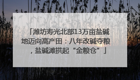 潍坊寿光北部13万亩盐碱地迈向高产田：八年改碱夺粮，盐碱滩拱起“金粮仓”