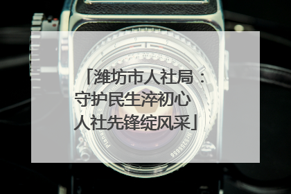 潍坊市人社局：守护民生淬初心 人社先锋绽风采