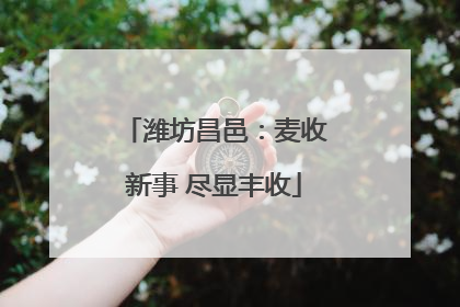潍坊昌邑：麦收新事 尽显丰收
