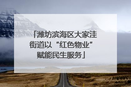 潍坊滨海区大家洼街道以“红色物业”赋能民生服务