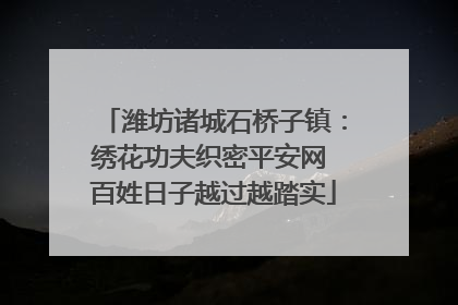 潍坊诸城石桥子镇：绣花功夫织密平安网 百姓日子越过越踏实