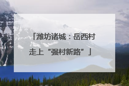 潍坊诸城：岳西村走上“强村新路”