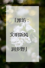 潍坊：文明新风润乡野