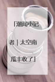 潮闻小记者｜太空南瓜丰收了
