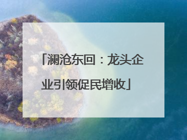 澜沧东回：龙头企业引领促民增收