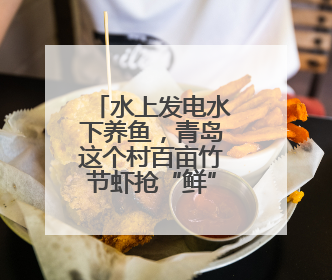 水上发电水下养鱼，青岛这个村百亩竹节虾抢“鲜”上市