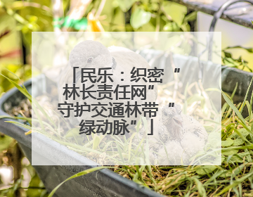 民乐：织密“林长责任网” 守护交通林带“绿动脉”