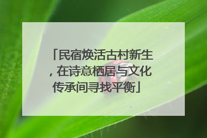 民宿焕活古村新生，在诗意栖居与文化传承间寻找平衡
