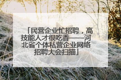 民营企业忙招聘，高技能人才很吃香——河北省个体私营企业网络招聘大会扫描