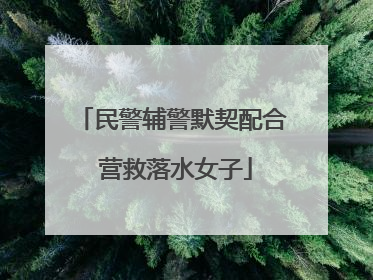 民警辅警默契配合 营救落水女子