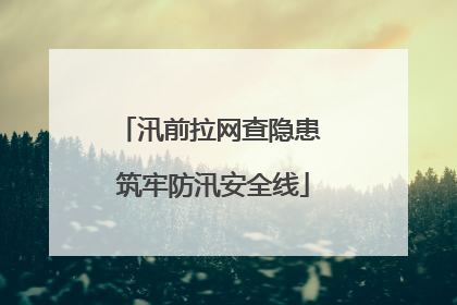 汛前拉网查隐患 筑牢防汛安全线