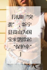汛期“突袭”，新宁县崀山为国宝朱鹮撑起“保护伞”